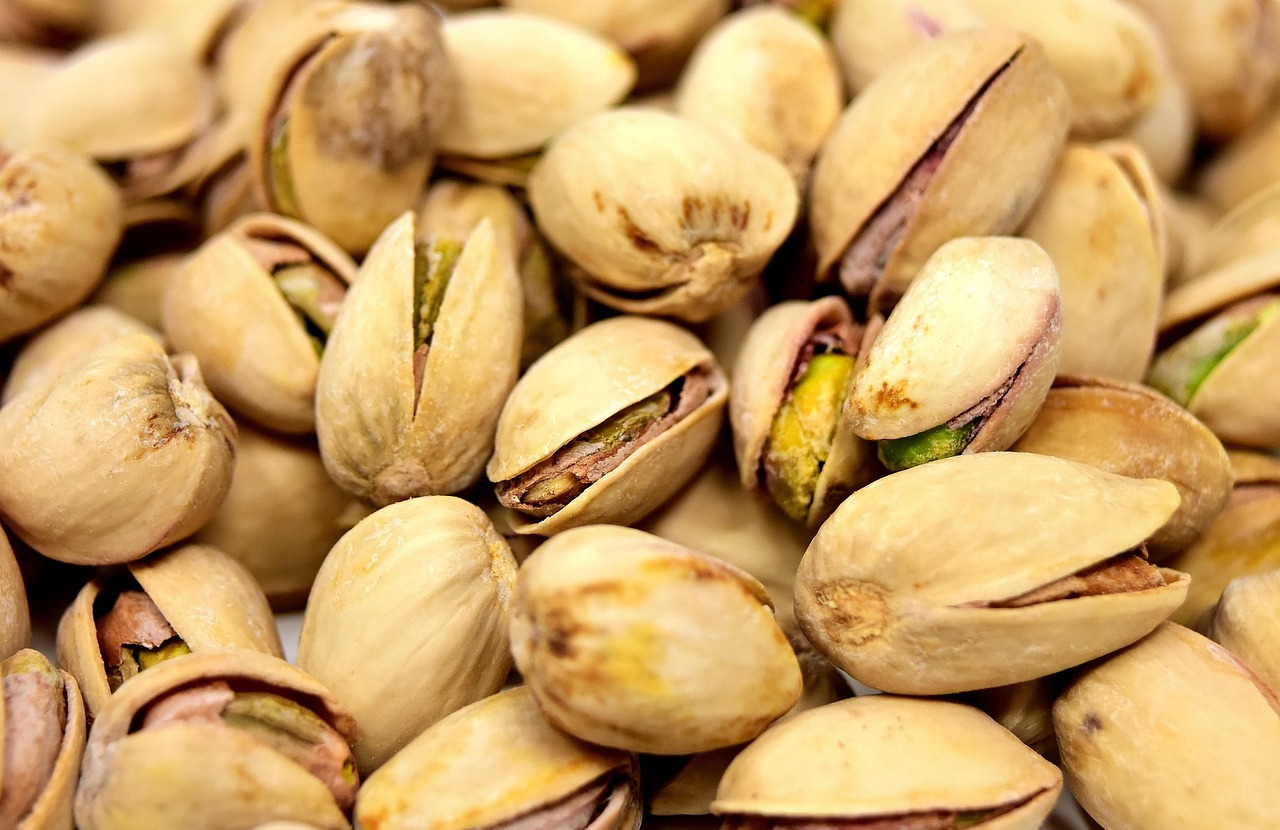 entdecken sie die welt der salzigen speisen! von herzhaften snacks bis zu köstlichen hauptgerichten – lassen sie sich von unseren rezepten und ideen inspirieren, um ihren gaumen mit salzigen leckerbissen zu verwöhnen.