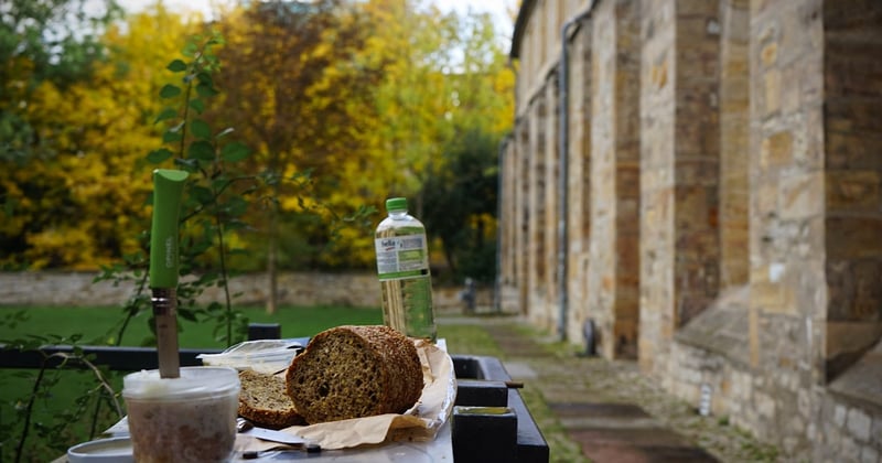 Holzofen mit Wassertasche: Heizen und Warmwasser effizient kombinieren