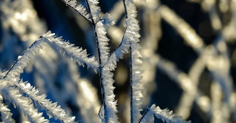 Materialien, die den Frost trotzen