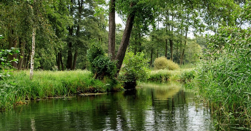 Lübbenau Sehenswürdigkeiten: Spreewald-Highlights, die du nicht verpassen darfst